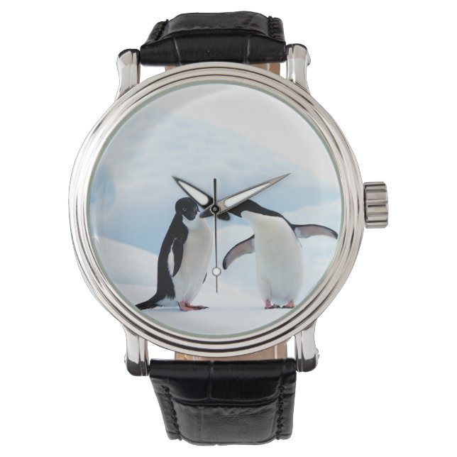 Adelie Penguins Armbandsur (Framsida)