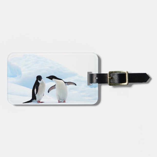 Adelie Penguins Bagagebricka (Horisontell Framsida)