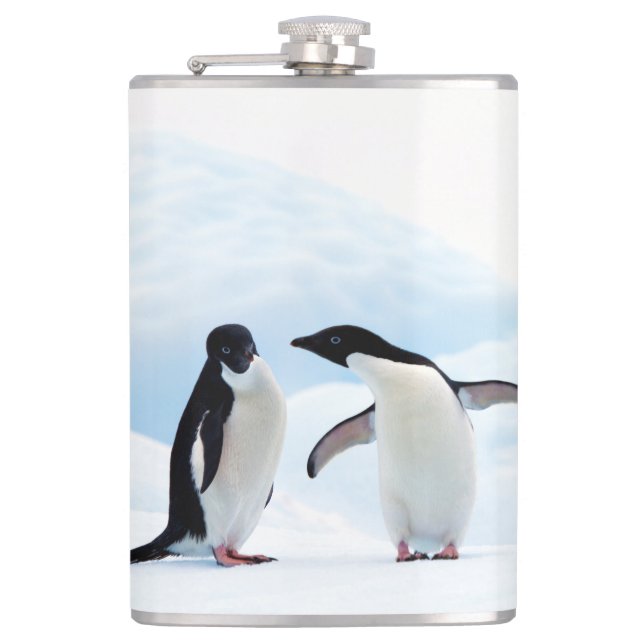 Adelie Penguins Fickplunta (Framsidan)