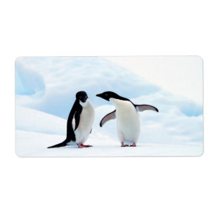 Adelie Penguins Fraktsedel