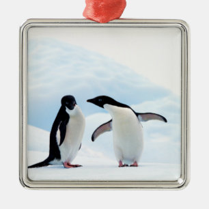 Adelie Penguins Julgransprydnad Metall