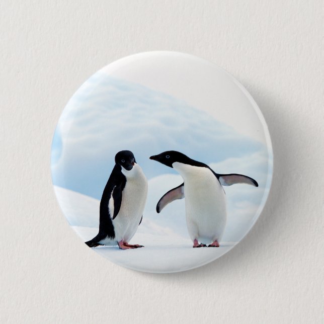 Adelie Penguins Knapp (Framsida)
