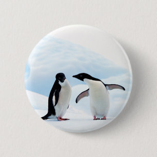 Adelie Penguins Knapp