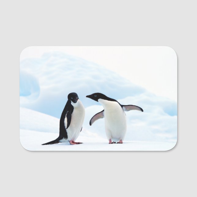 Adelie Penguins Namnbricka (Framsida)