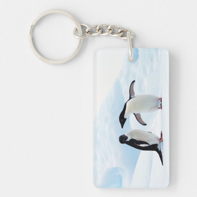 Adelie Penguins Nyckelring (Framsidan)