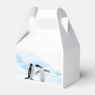 Adelie Penguins Presentaskar