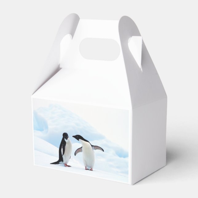 Adelie Penguins Presentaskar (Baksidan Sidan)