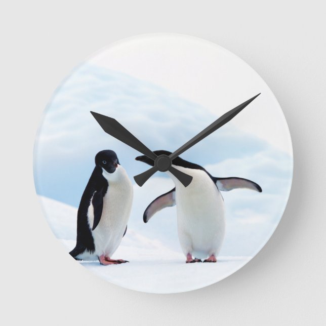 Adelie Penguins Rund Klocka (Framsida)