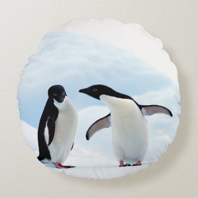 Adelie Penguins Rund Kudde (Framsidan)