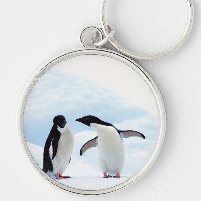 Adelie Penguins Rund Silverfärgad Nyckelring (Framsidan)