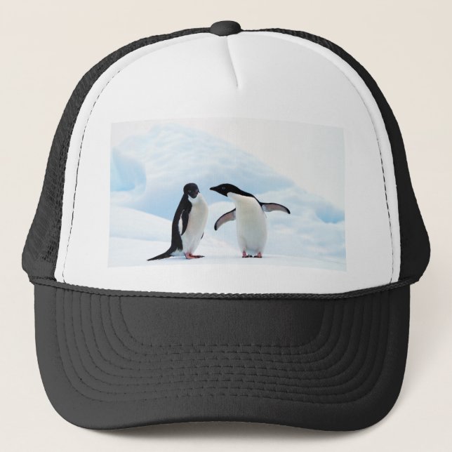 Adelie Penguins Truckerkeps (Framsida)