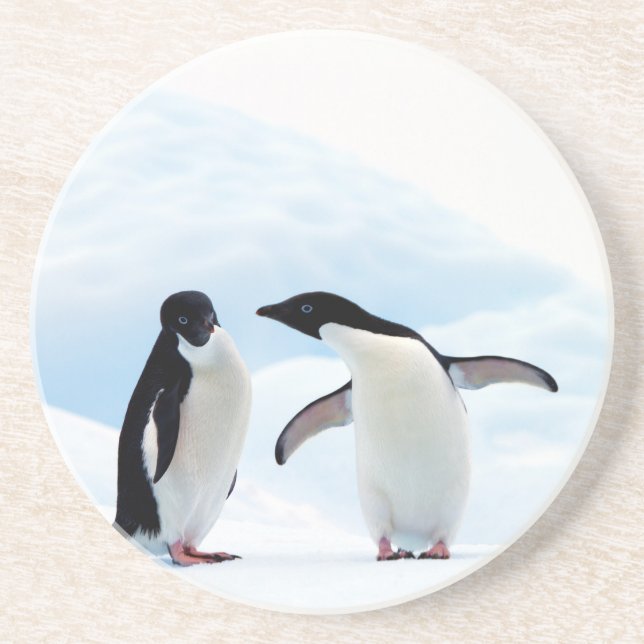 Adelie Penguins Underlägg (Framsidan)
