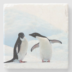 Adelie Penguins Underlägg Sten
