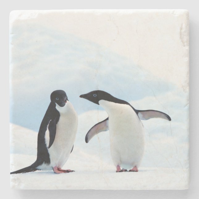 Adelie Penguins Underlägg Sten (Framsidan)