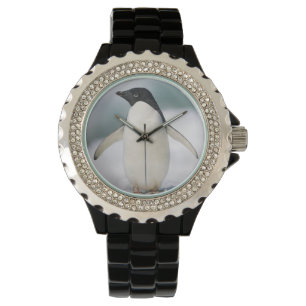 Adelie pingvin, närbild armbandsur
