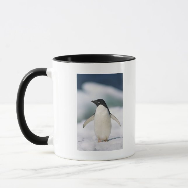 Adelie pingvin, närbild mugg (Vänster)