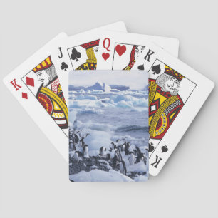 Adeliepingviner Pygoscelis adeliae Spel Kort