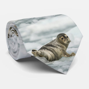 Ädelsäl i Baby Slips