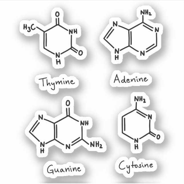 Adenin, guanin, cytosin, tyminmolekyler klistermärken (Framsida)
