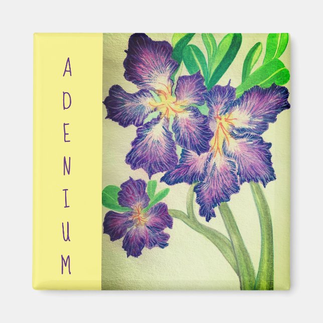 Adenium Magnet (Framsidan)