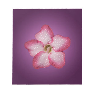 Adenium Rosa Blomma Flora Gradient Violett Anteckningsblock