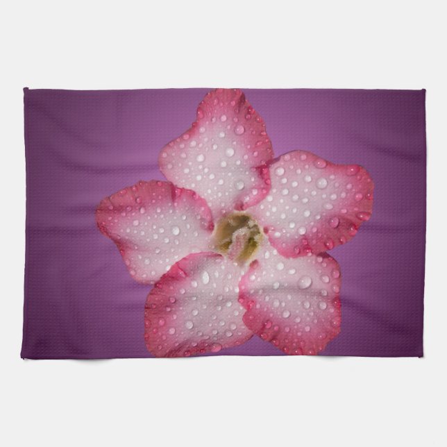 Adenium Rosa Blomma Flora Gradient Violett Kökshandduk (Horisontell)