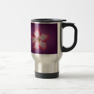 Adenium Rosa Blomma Flora Gradient Violett Resemugg