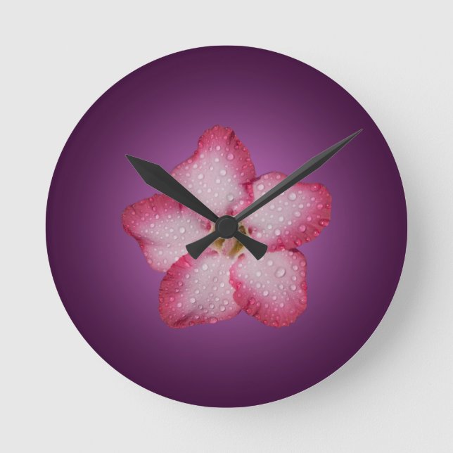Adenium Rosa Blomma Flora Gradient Violett Rund Klocka (Framsida)