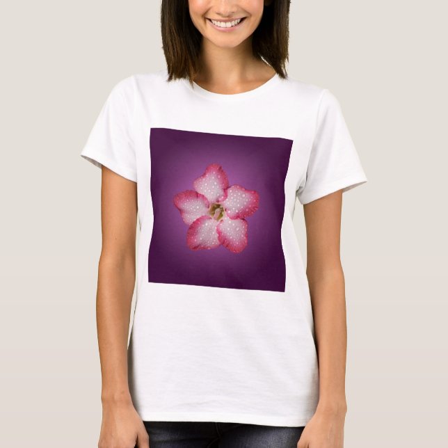 Adenium Rosa Blomma Flora Gradient Violett Tee Shirt (Framsida)