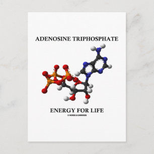 Adenosintrifosfat (ATP) Energi för livslängd Vykort