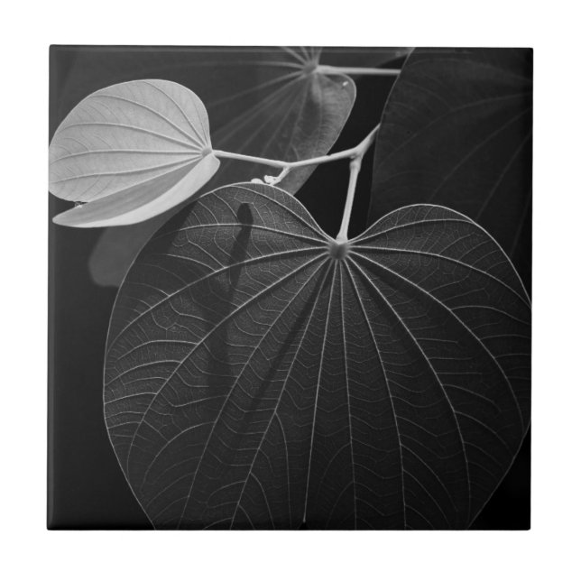 Åder av ett löv kakelplatta (Framsidan)