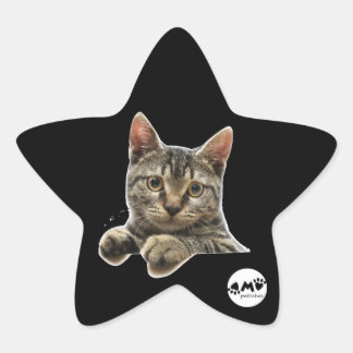 Adesivo Stjärnformat Klistermärke