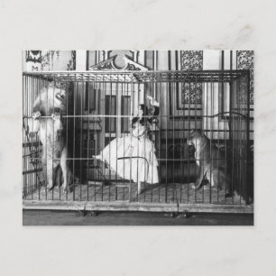 Adgie och Hennes Lejon 1897 Vykort