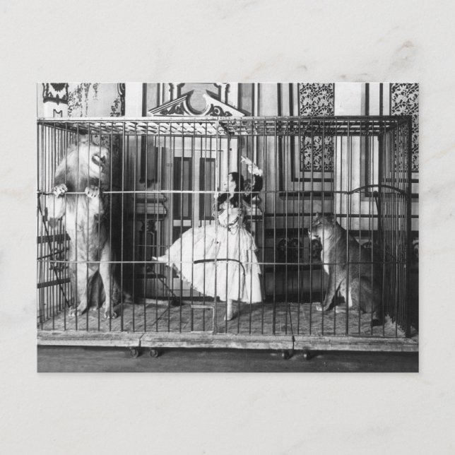 Adgie och Hennes Lejon 1897 Vykort (Framsida)