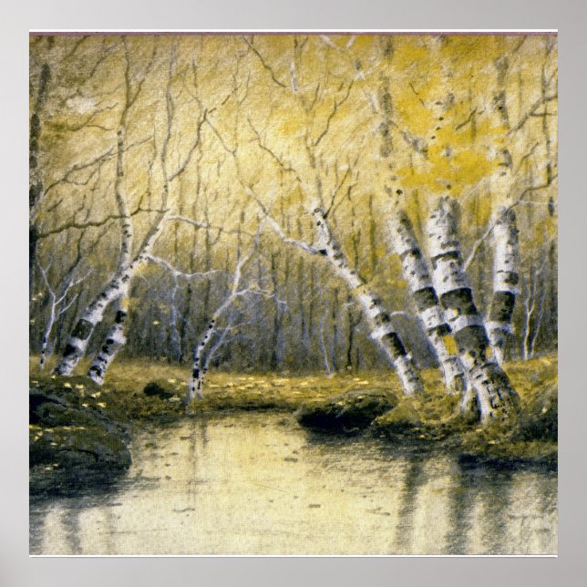 Adirondack Birches Poster (Framsidan)