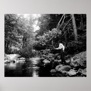 Adirondack flygfiske poster