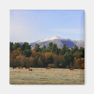 Adirondack lantgårdmagnet magnet