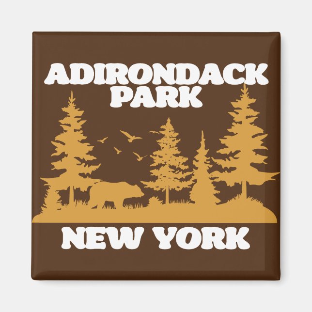 Adirondack Park Magnet (Framsidan)