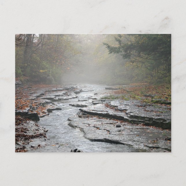 Adirondacks-postkort nr 001 vykort (Framsida)