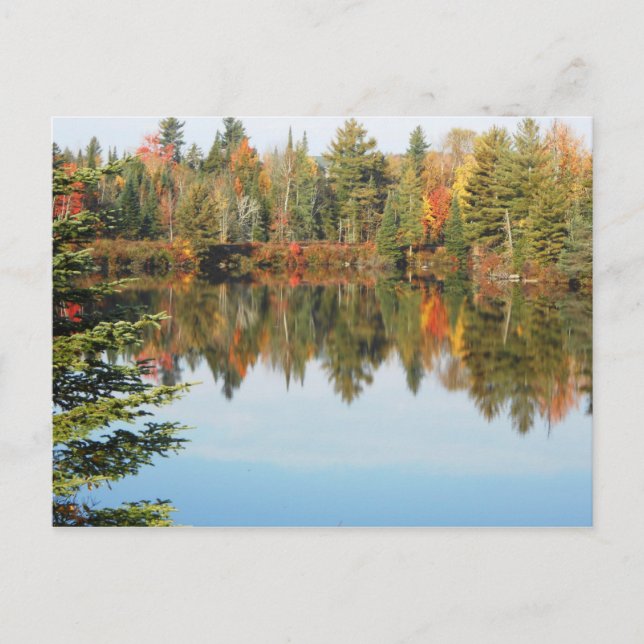 Adirondacks Upper Chub River Autumn Scene Vykort (Framsida)