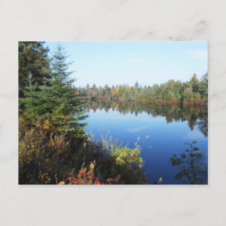 Adirondacks Upper Chub River Autumn Scene Vykort