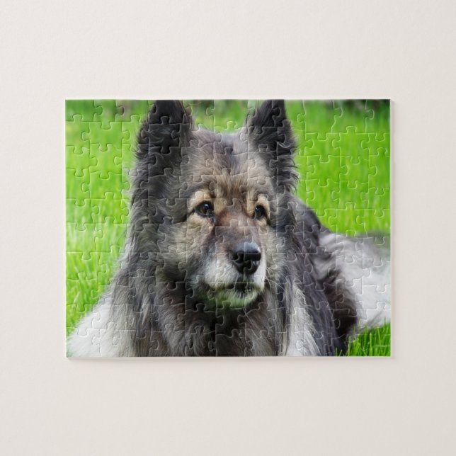 Aditable Keeshond Pussel (Horisontell)