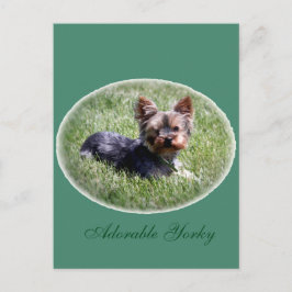 Aditable Yorkie Anpassningsbar Postcard Vykort