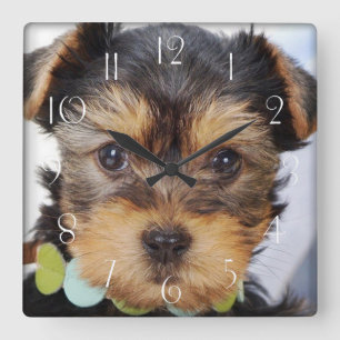 Aditable Yorkshire Terrier Fyrkantig Klocka