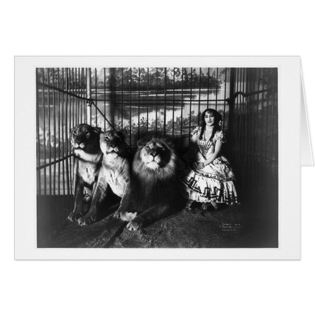 Adjie och lejon 1899 hälsningskort (Framsidan Horizontal)