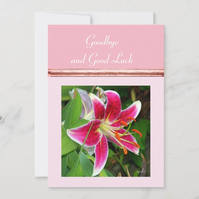 Adjö och Lycka till-platta kort (Framsida)