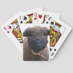 Adjusterande Babydoll Southdown Sheep Casinokort