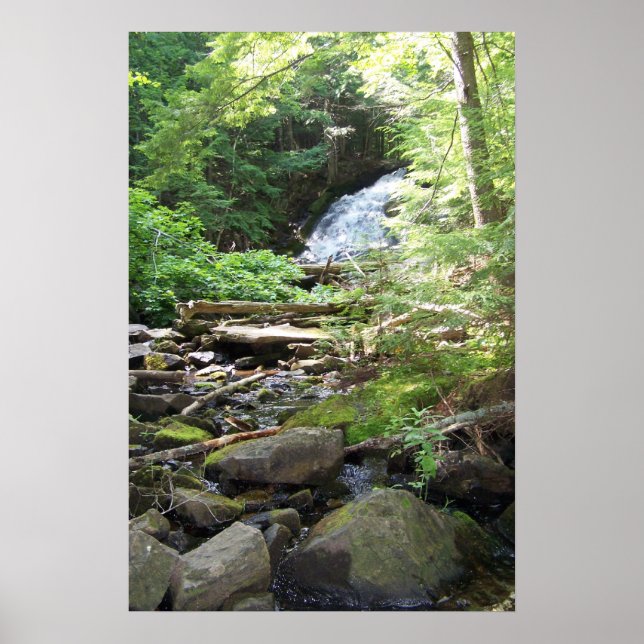 Adler Falls Poster (Framsidan)