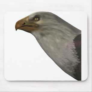 Adler Musmatta