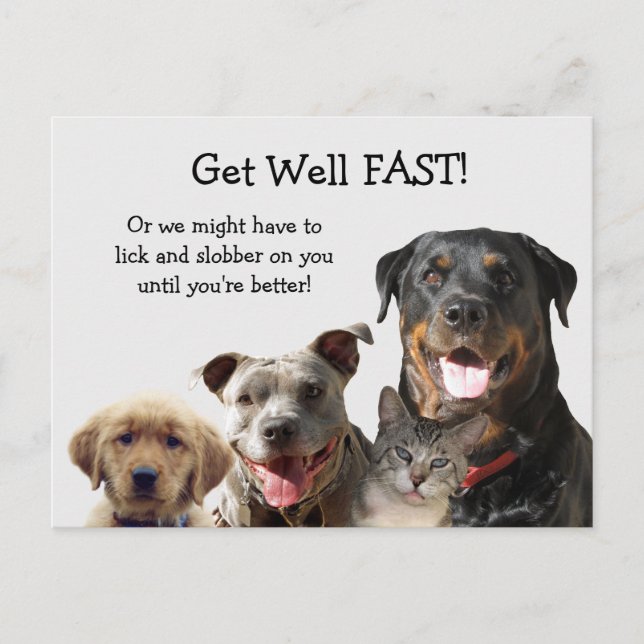 Adliga sällskapsdjur får bra vykort (Framsida)